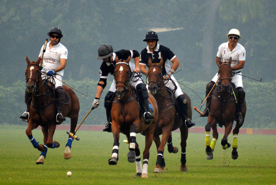 Seasons Canola Polo Cup