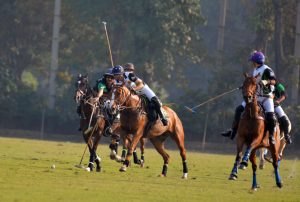 Polo Cup 2018