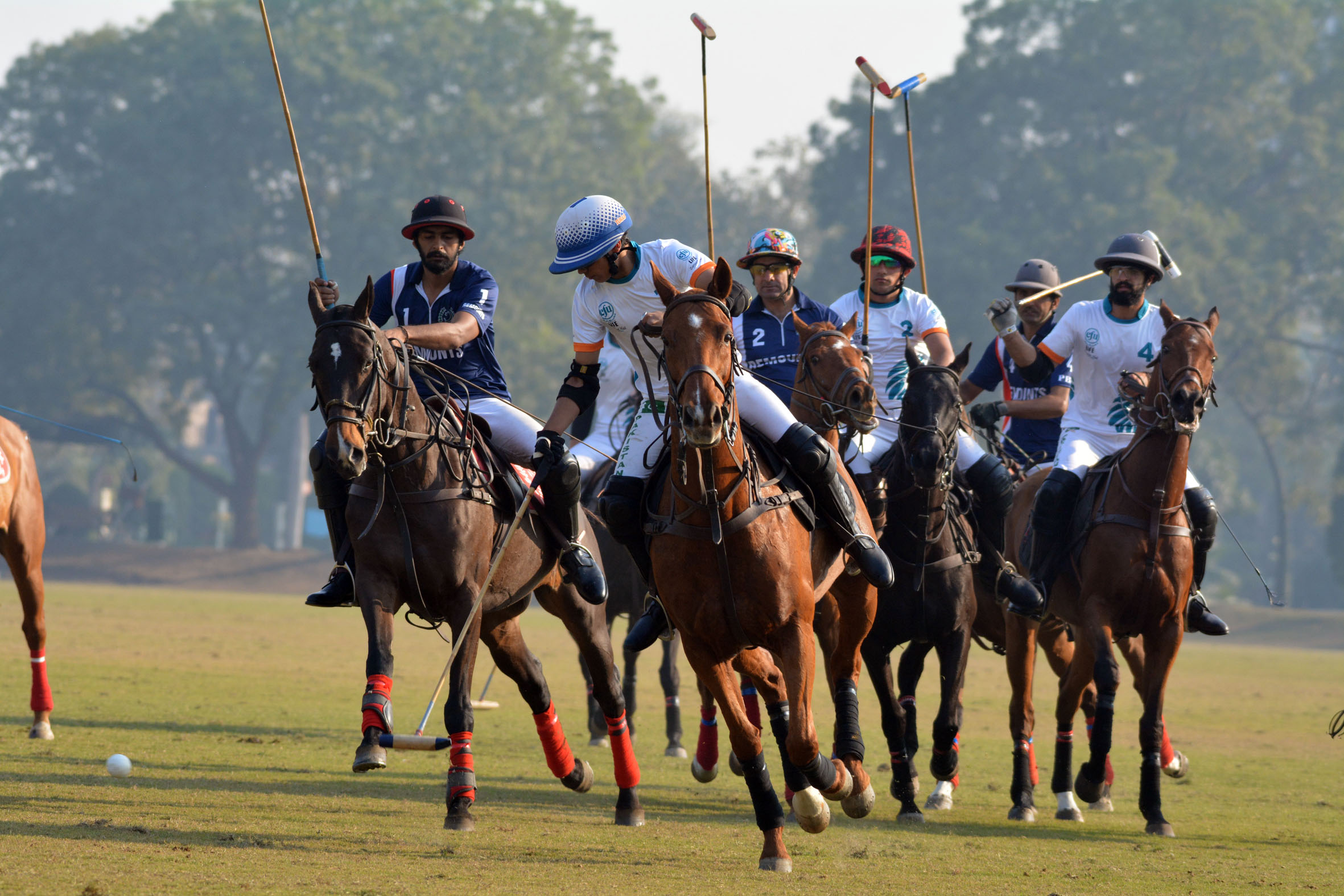  Polo Championship