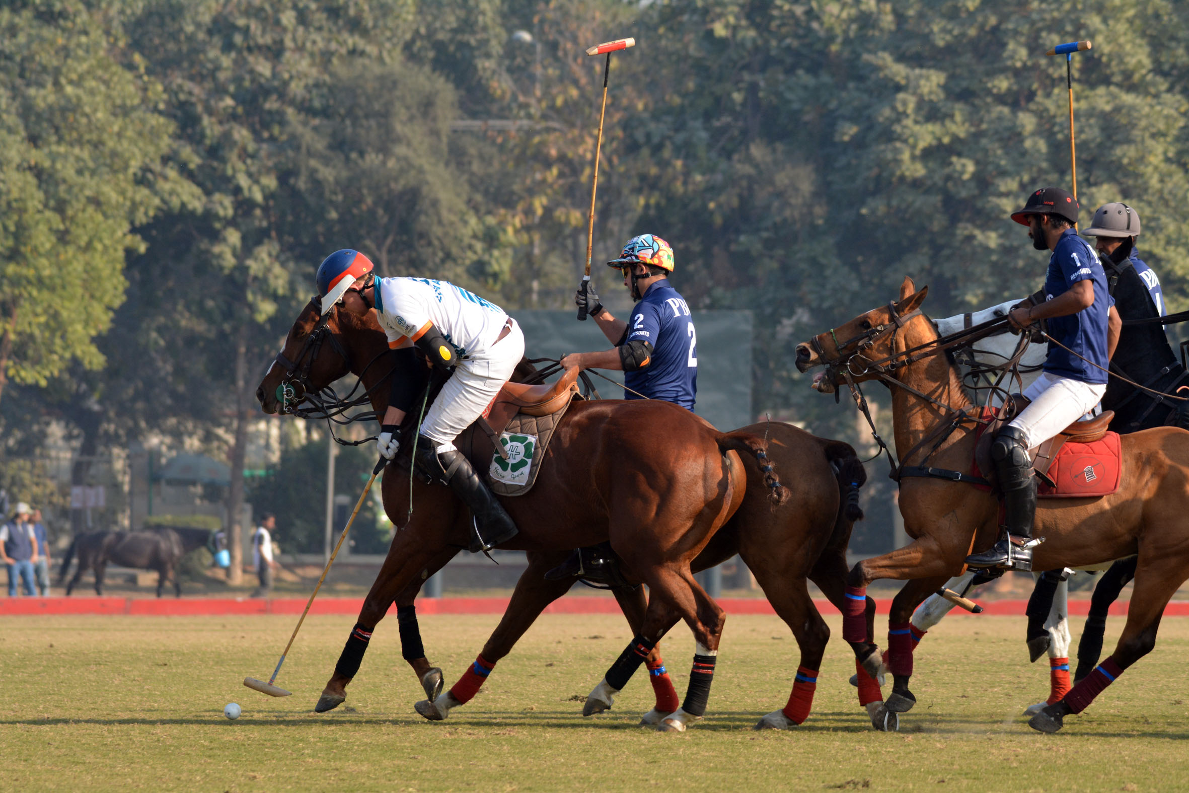  Polo Championship