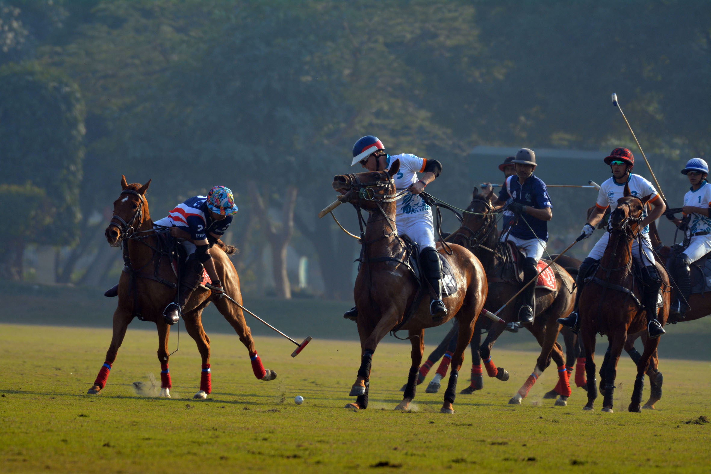  Polo Championship