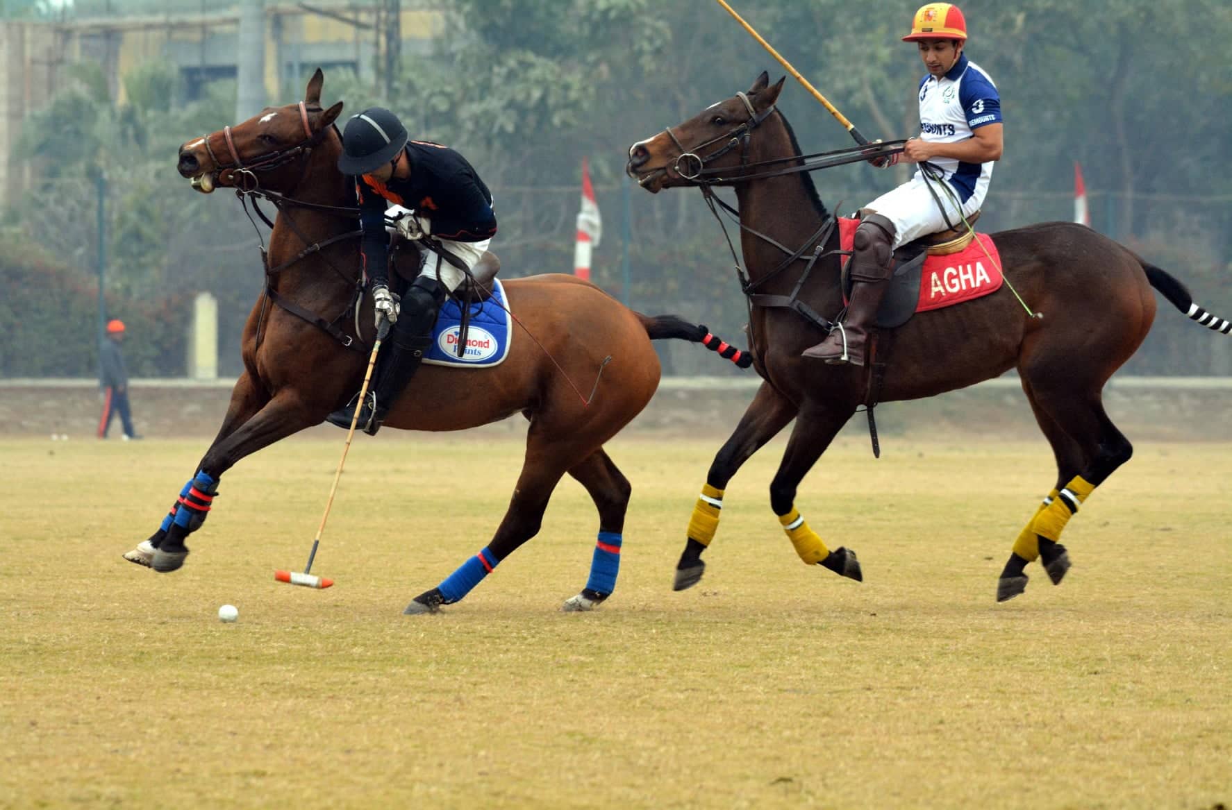 Tenacious Polo Cup 2019