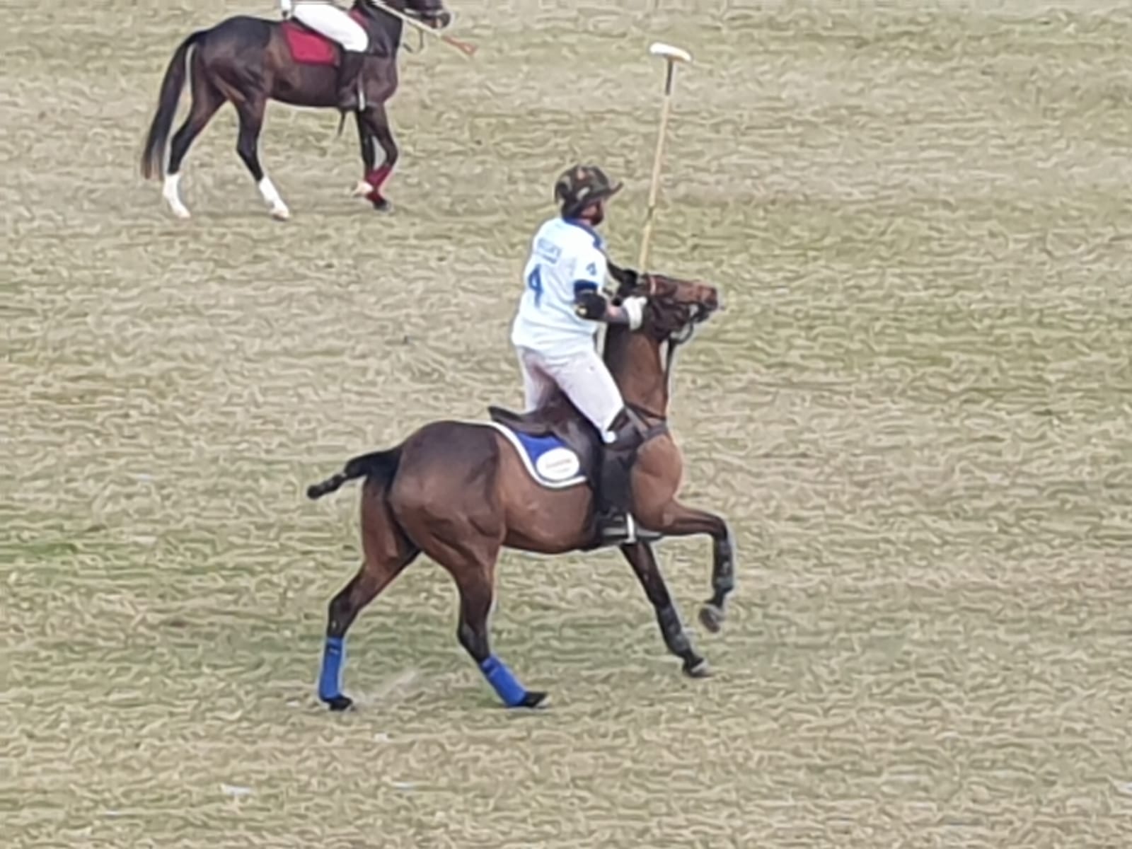 Pakistan Polo Cup 2018-19