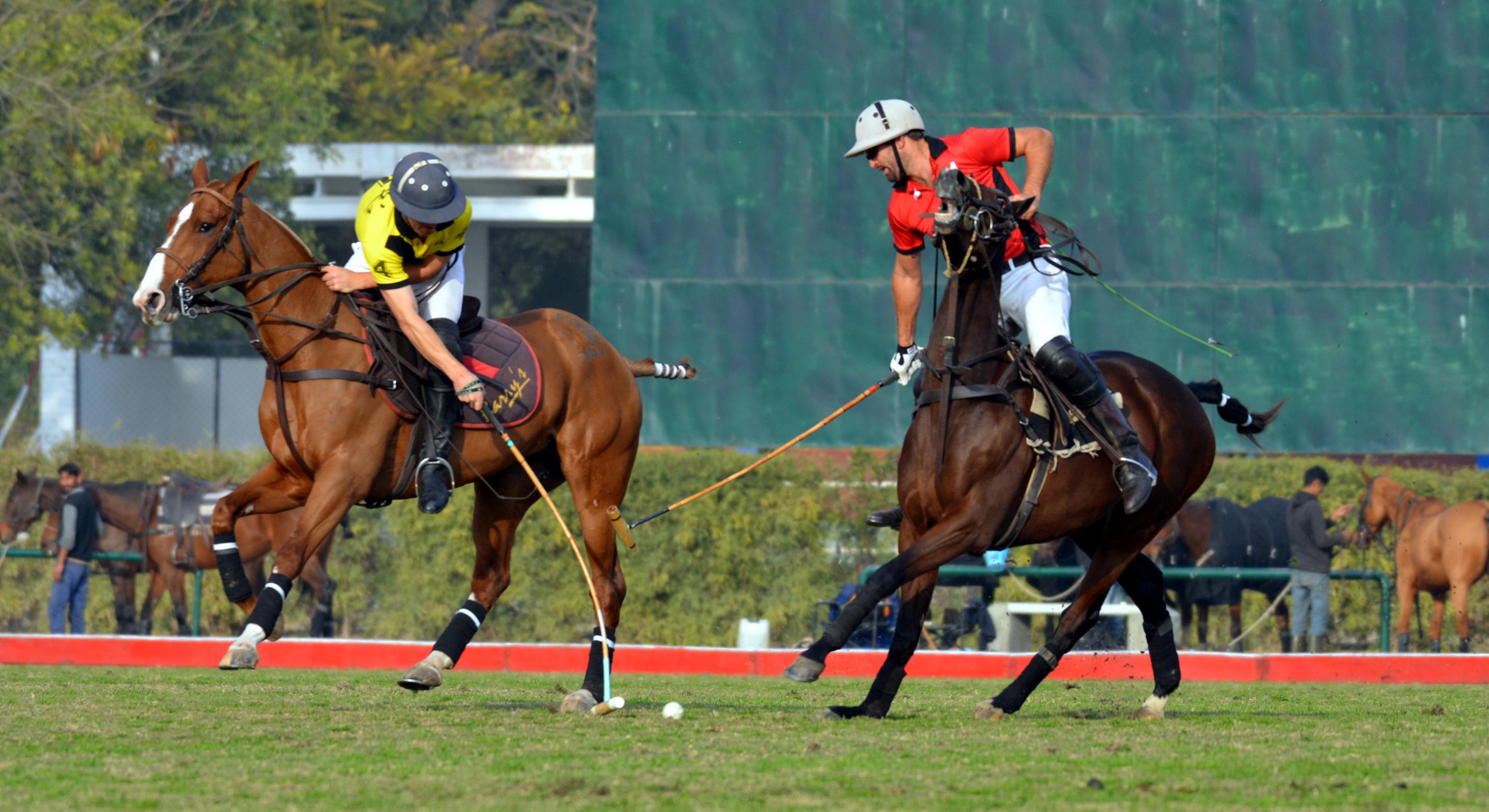 Zameen Polo Cup 2019