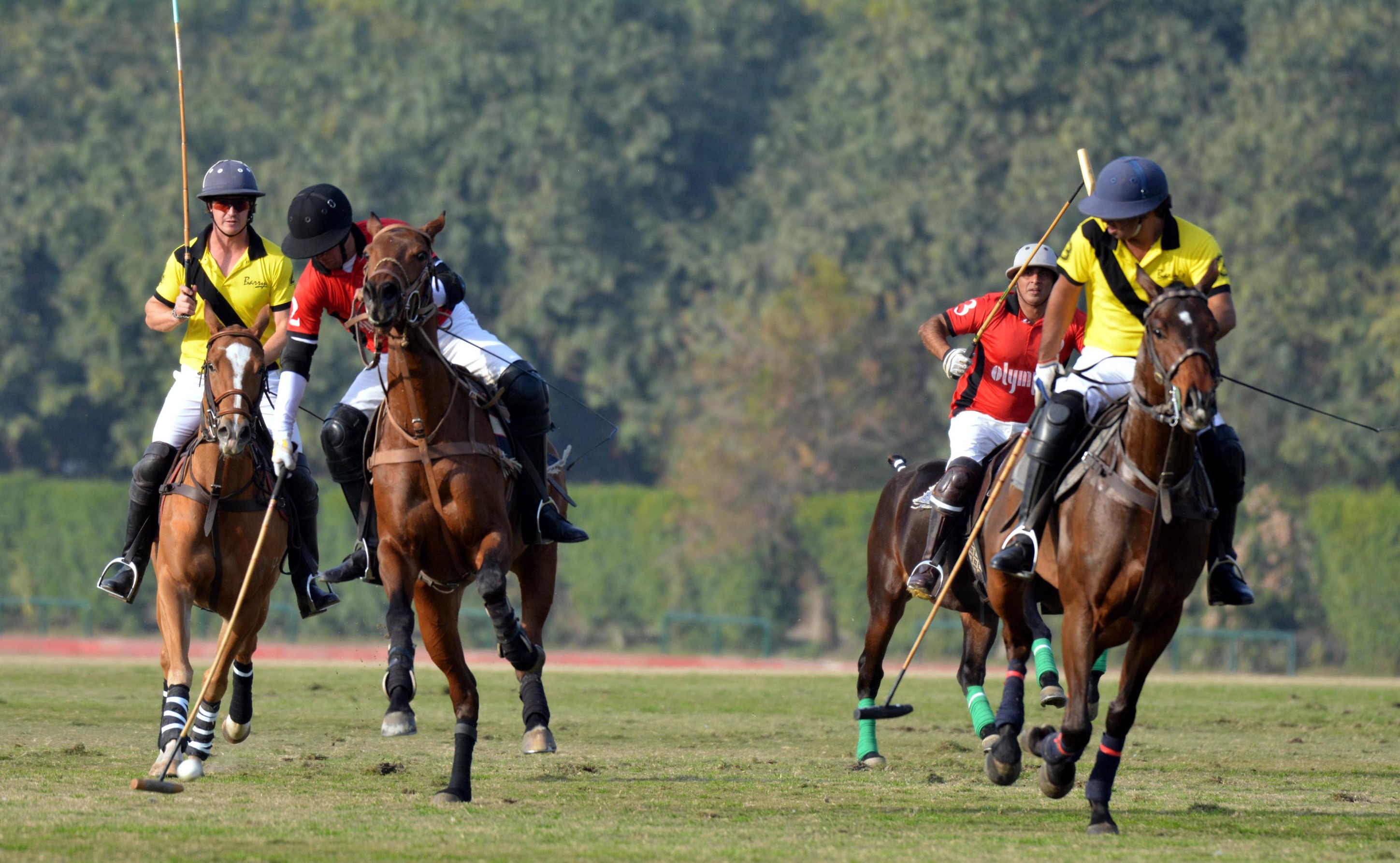 Zameen Polo Cup 2019