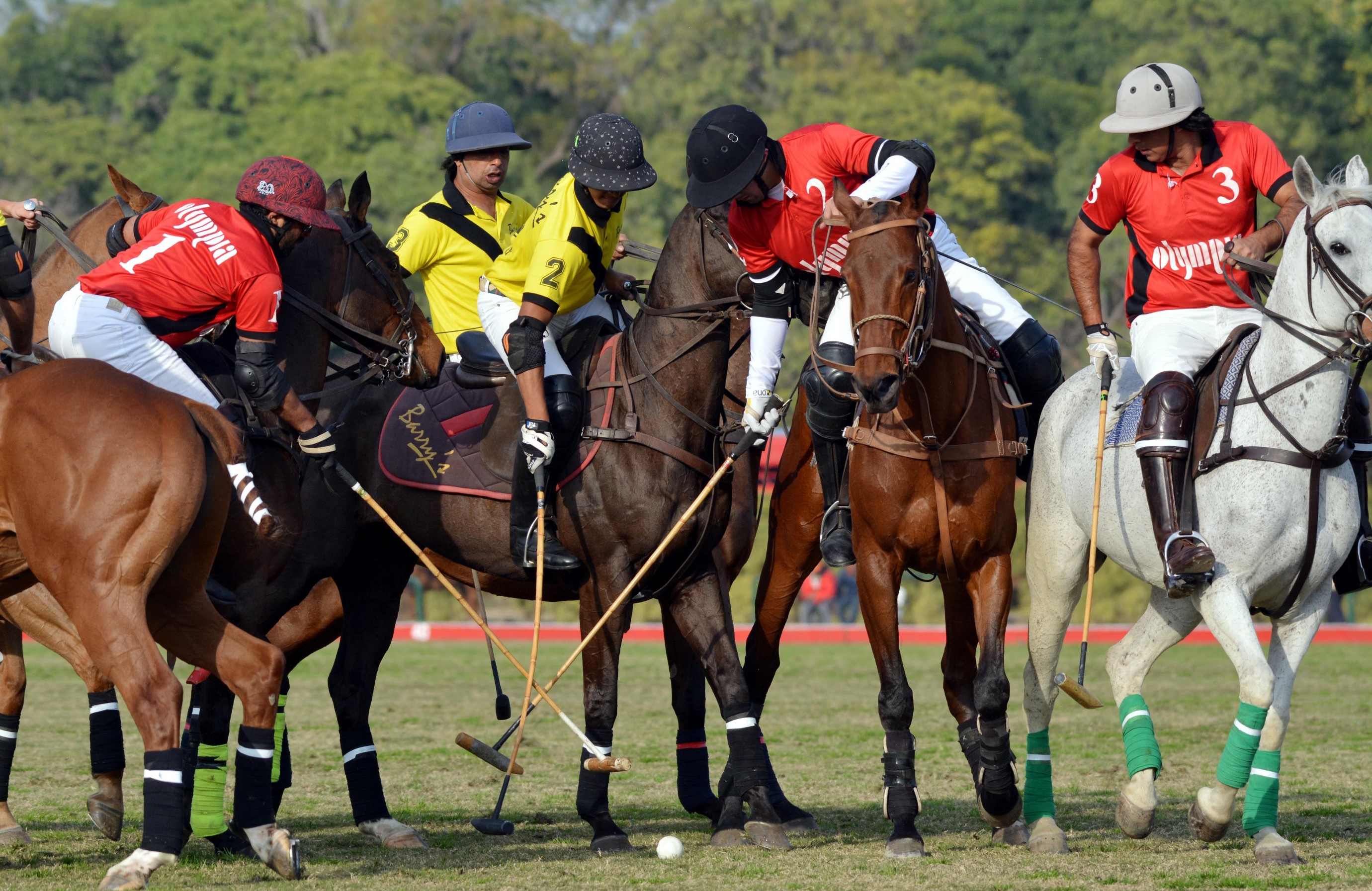 Zameen Polo Cup 2019