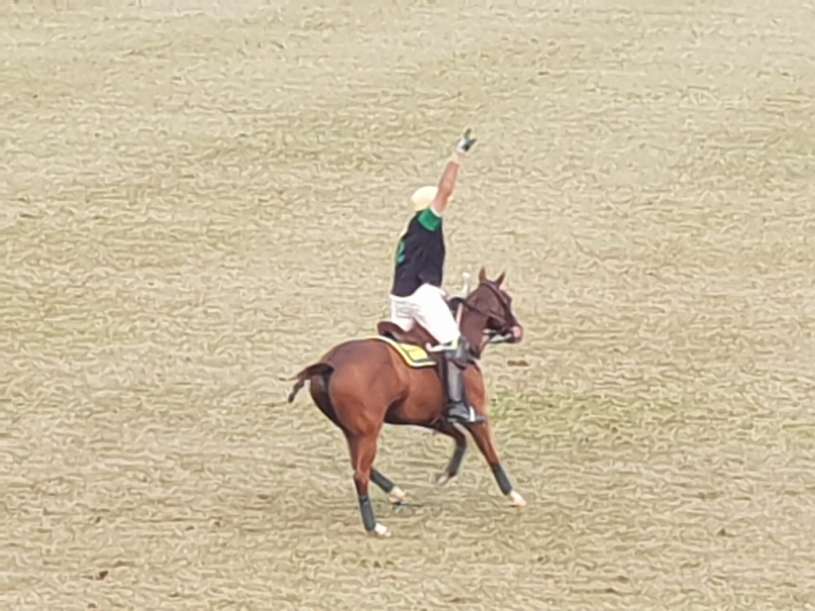 Pakistan Polo Cup 2018-19