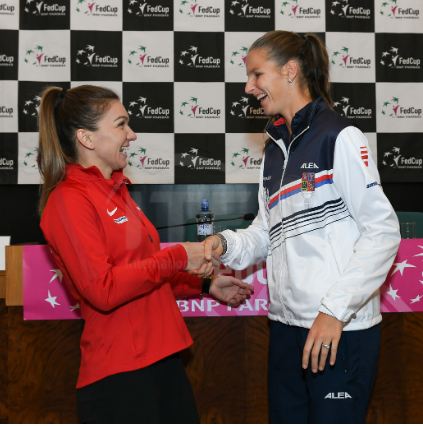 Fed Cup '19