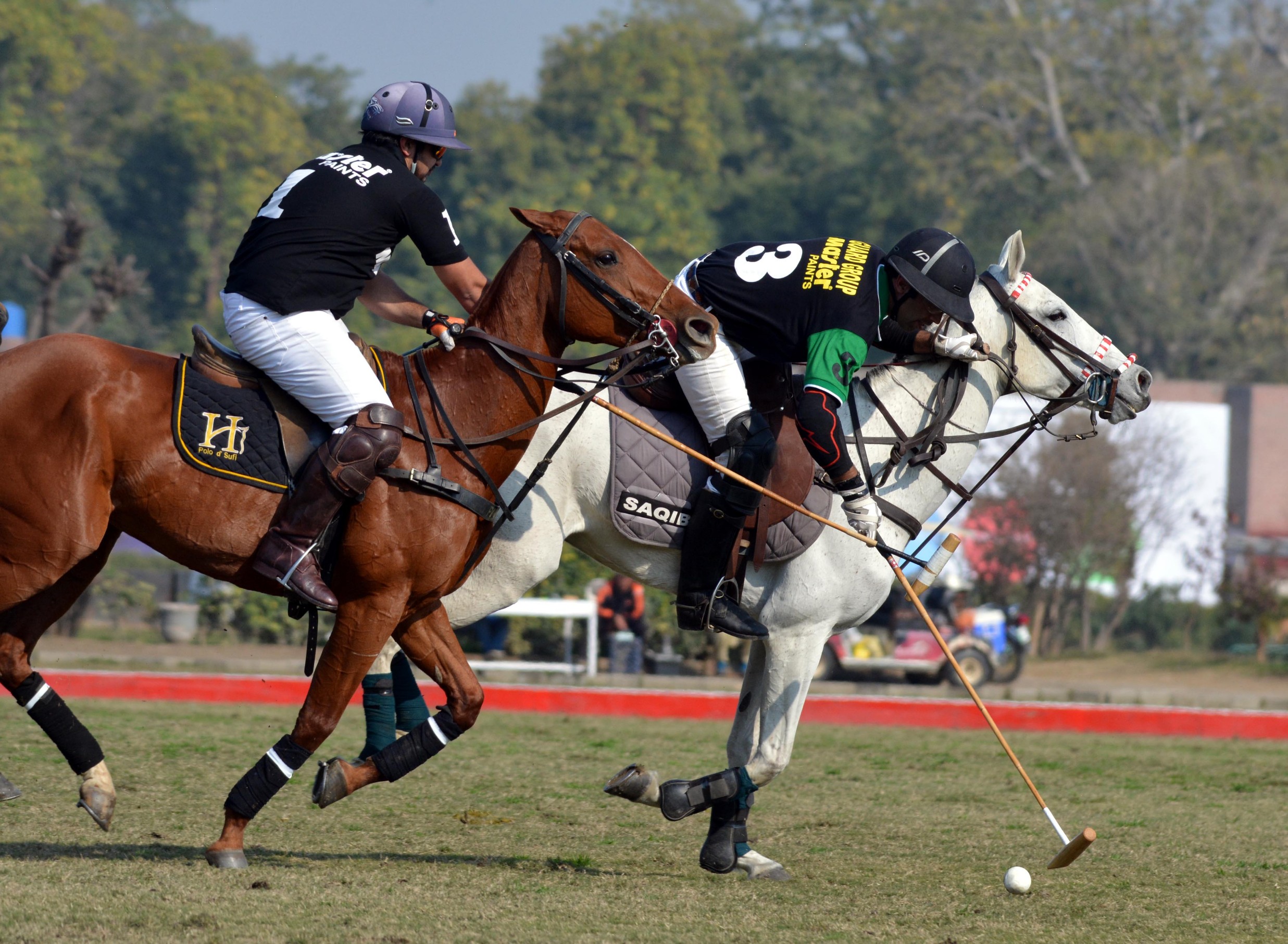 Zameen Polo Cup 2019