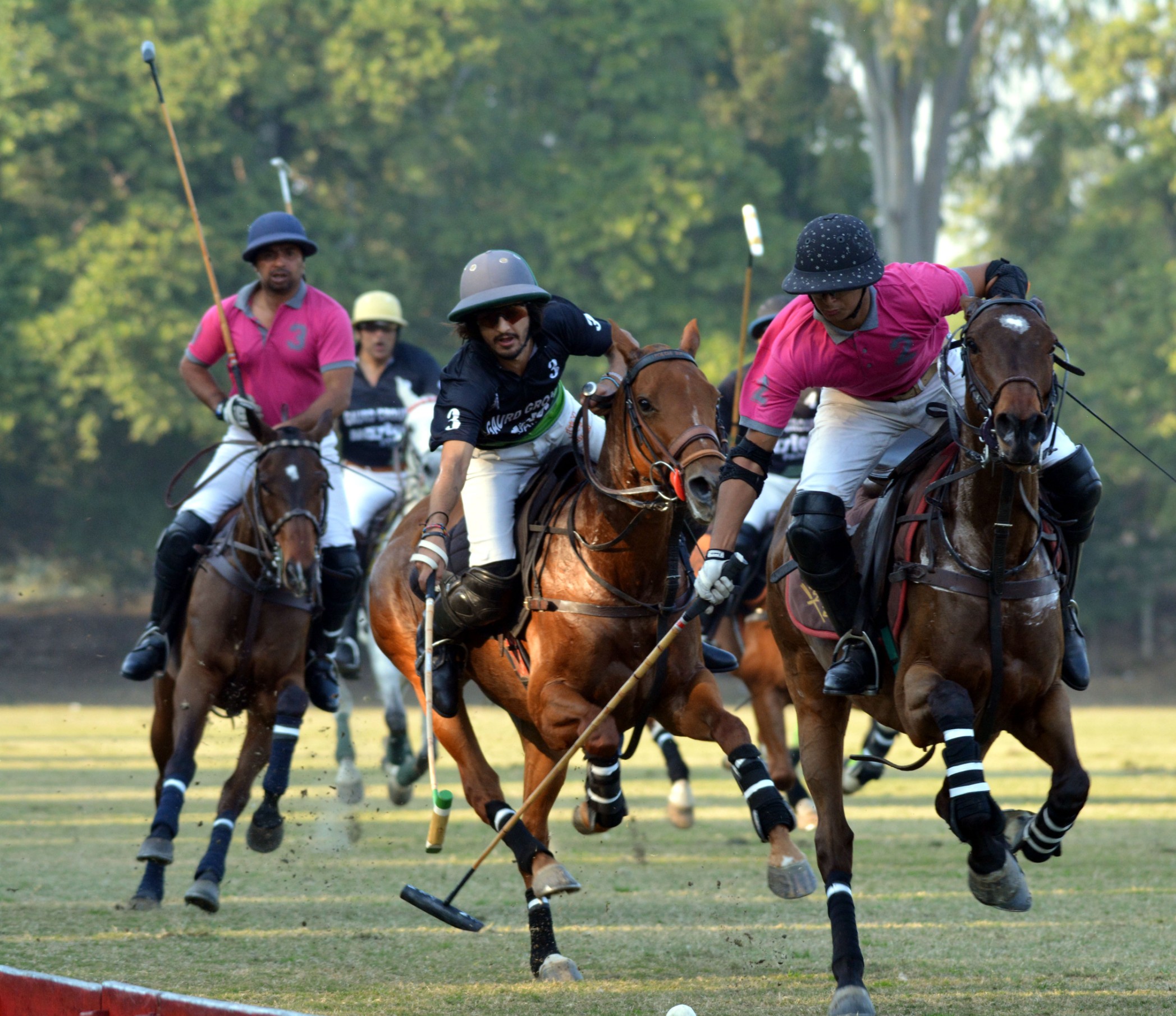 Honda Polo Cup 2019