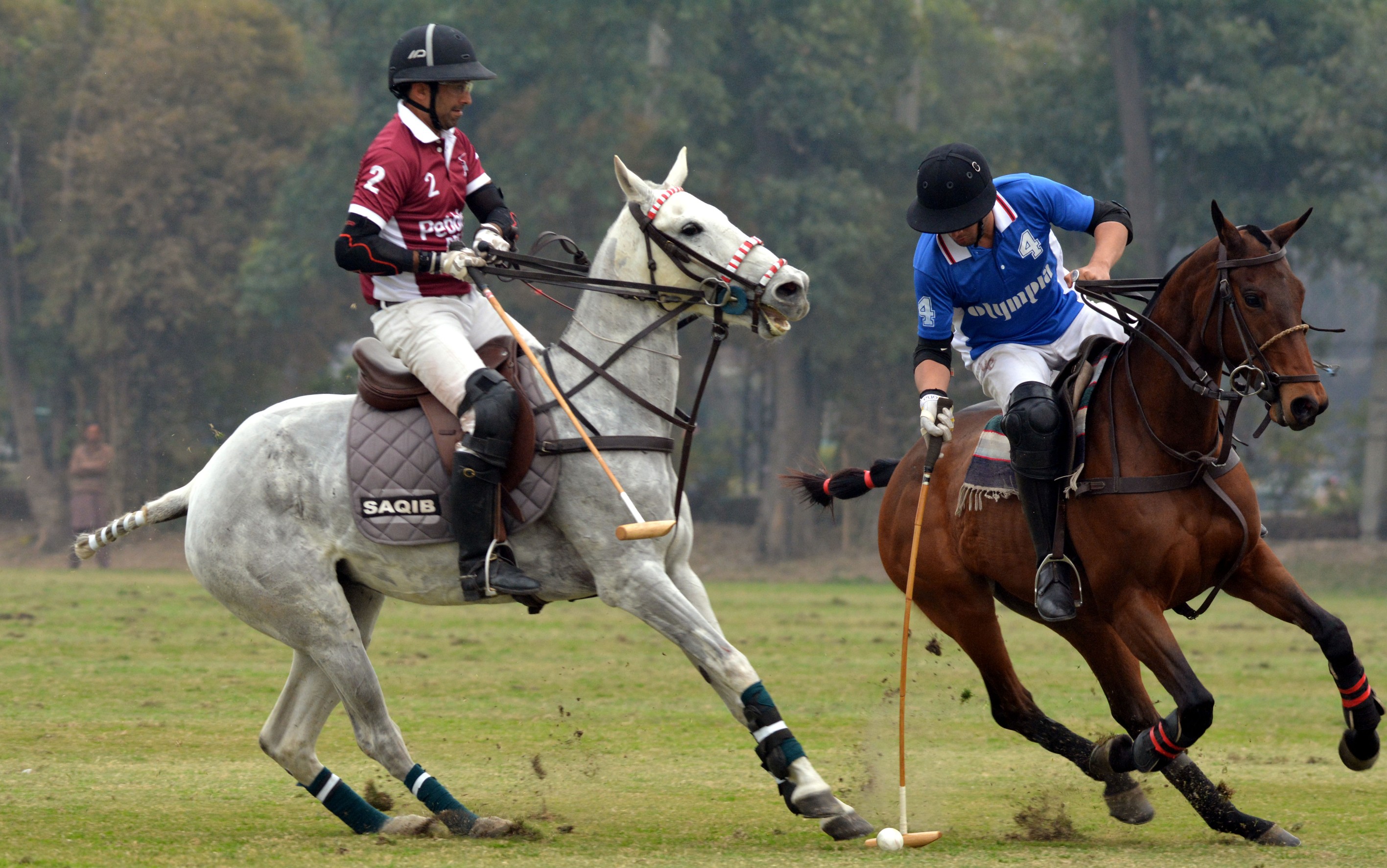 Polo Cup 2019