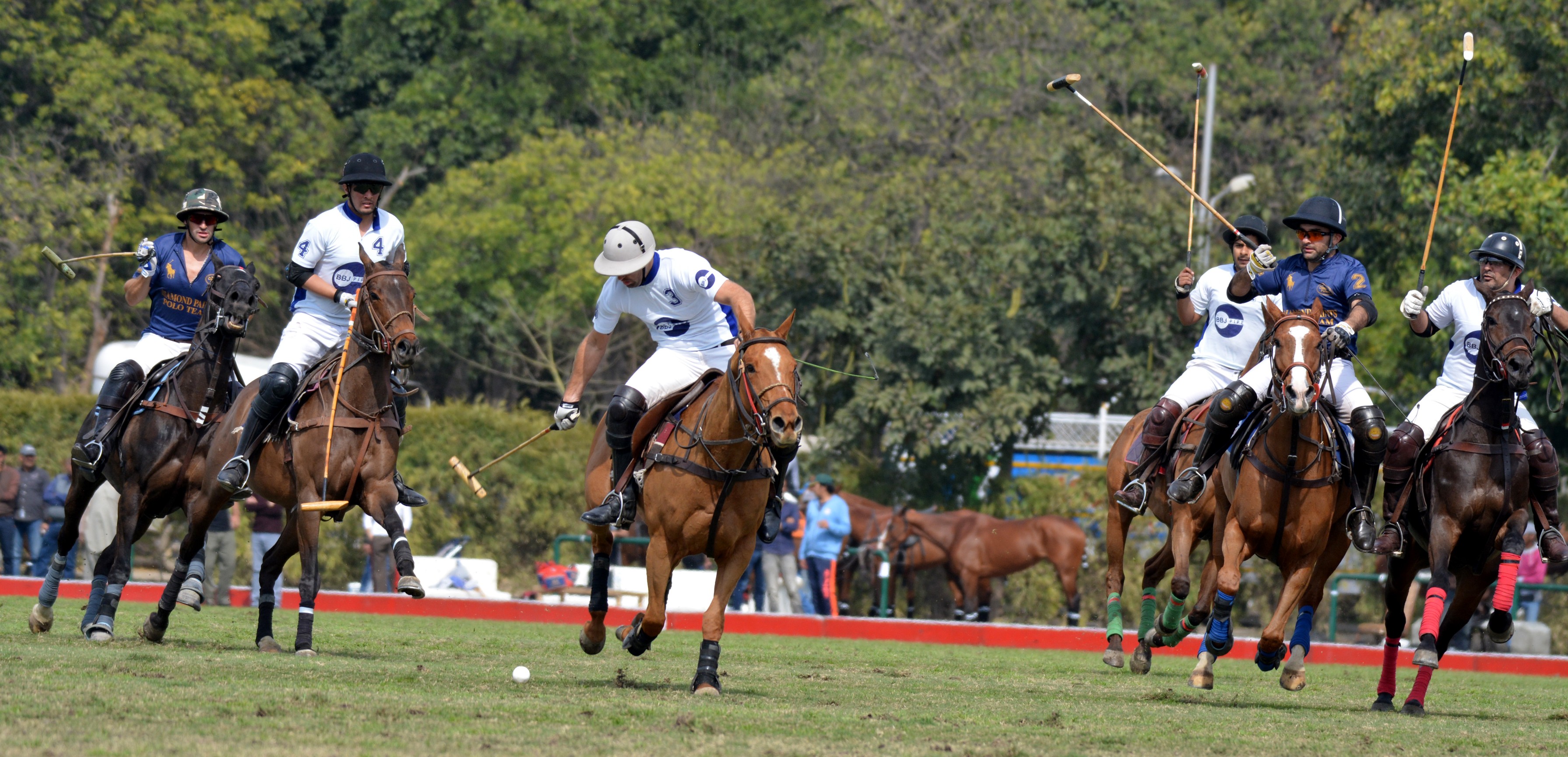 Punjab Polo Cup 2019