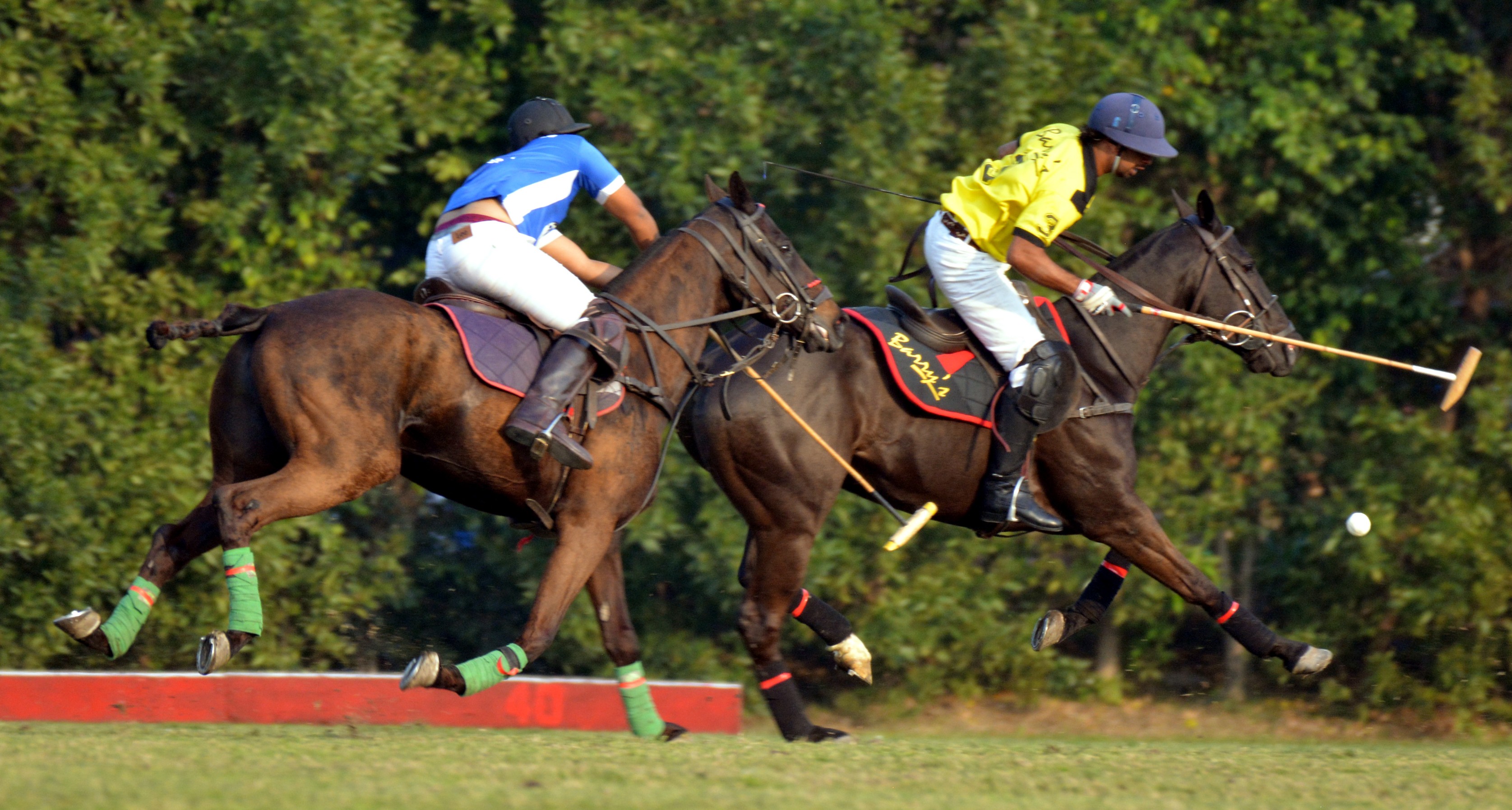 Quaid-e-Azam Gold Cup '19