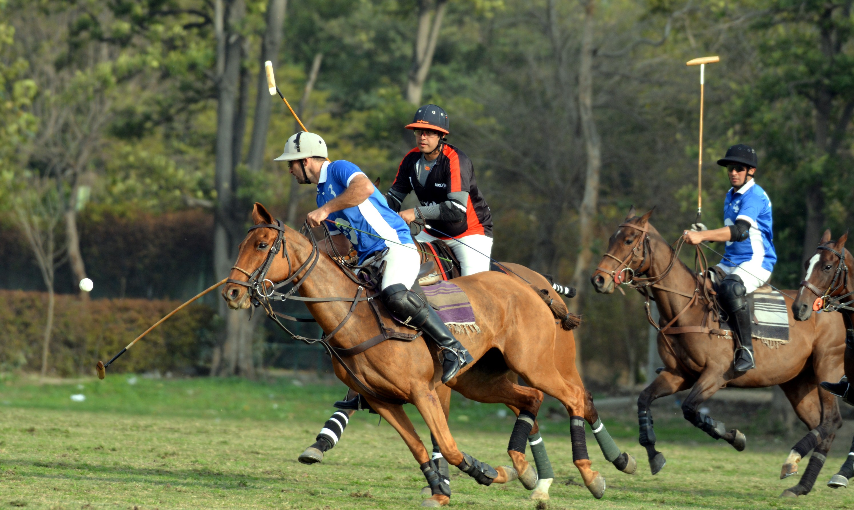 National Open Polo C Ship For Quaid E Azam Gold Cup 19 Master Paints Outclass Barry S Allsportspk