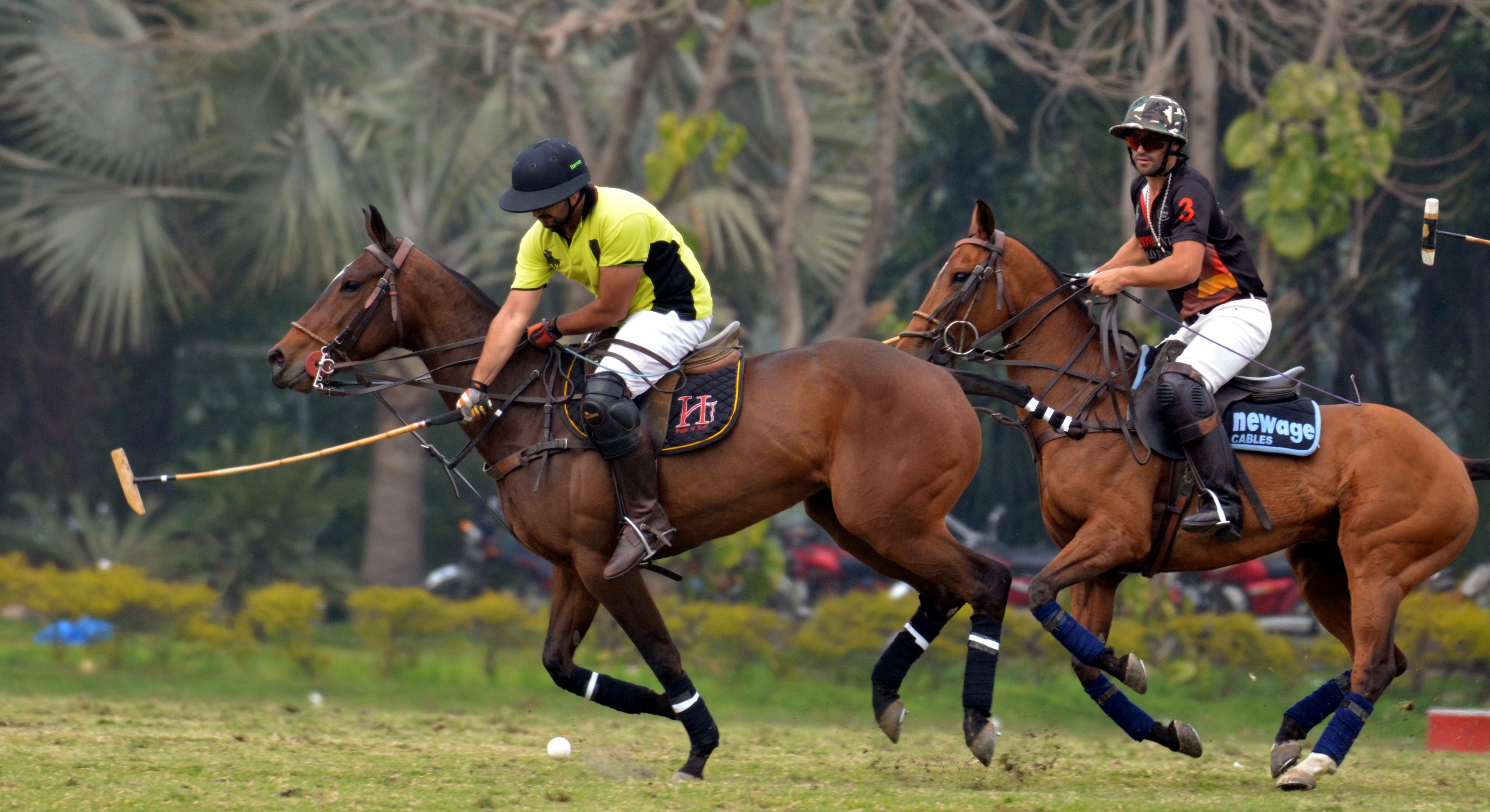 Quaid-e-Azam Gold Cup '19