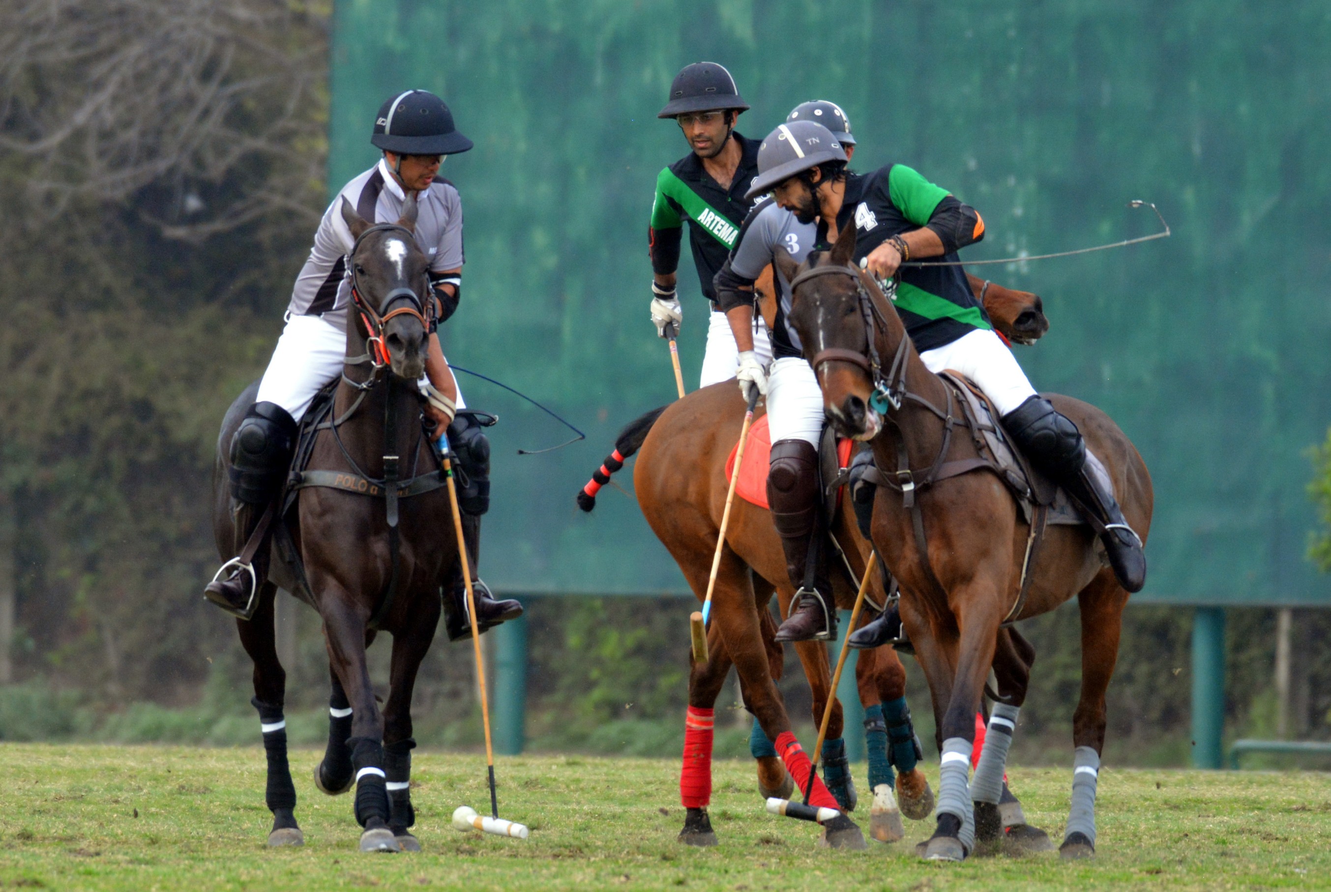 City Polo Cup 2019