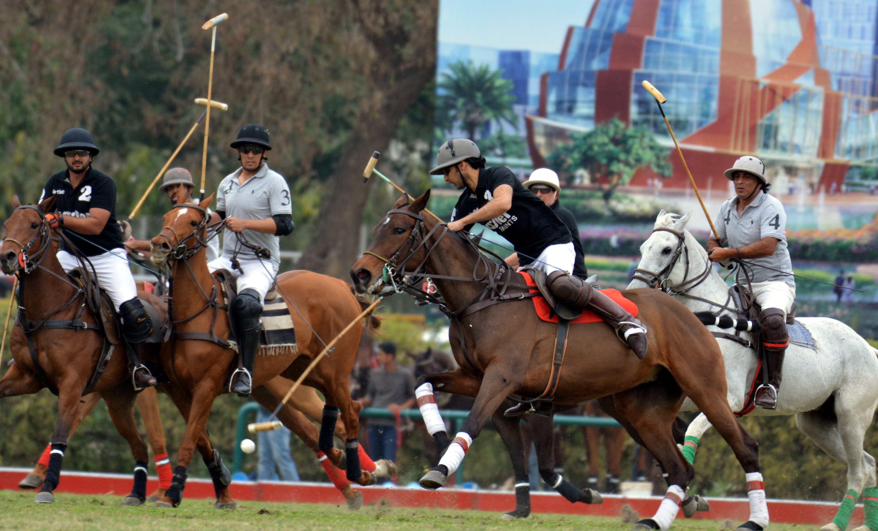 City Polo Cup 2019