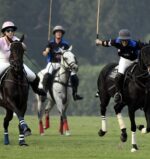Polo-1-1