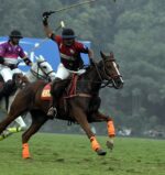 Polo Pic 3