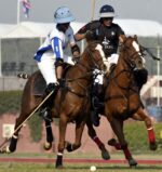 Polo-20a