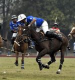 Polo-30a