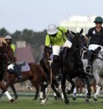 1739988138195_1739988134679_1739988126475_1739988091933_Polo 18b_1