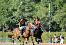 BoP Polo Cup 2017 – Day 4: Master Paints Defeat Dollar East/Newage Master Paints & Dollar East -Newage teams displayed great skills during the match