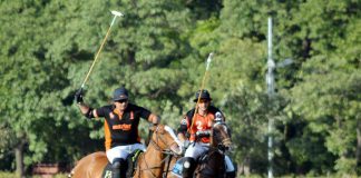 BoP Polo Cup 2017 – Day 4: Master Paints Defeat Dollar East/Newage Master Paints & Dollar East -Newage teams displayed great skills during the match