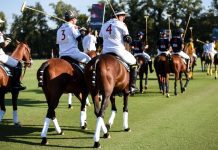 XI FIP World Polo Championship Zone A Play-off – Day 2