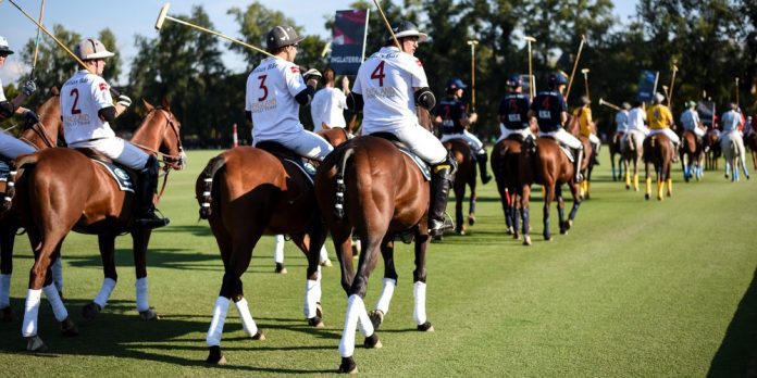 XI FIP World Polo Championship
