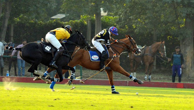 Polo in Pink: Day 6
