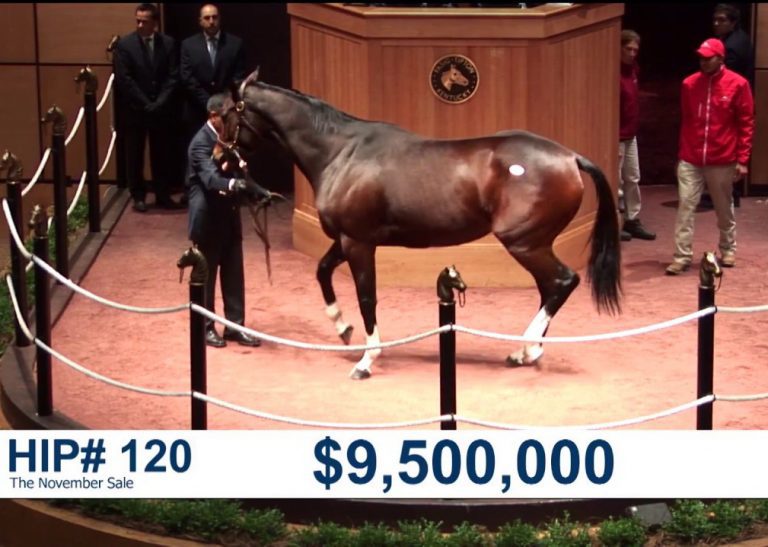 $ Horse
