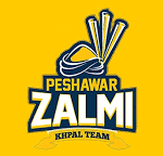 PZLogo