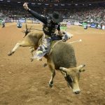 Bull Riding