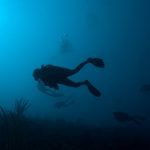 The Deep Diver