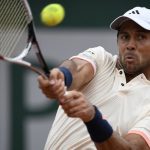 fernando verdasco