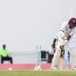 CRICKET-ANT-WIS-BAN