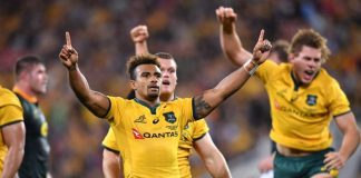 Rugby Championship 2018: Australia Overcomes Pressure; Beats South Africa Rugby Championship