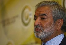 Pakistan Cricket: New PCB Chairman Appointed?