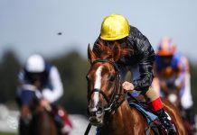Horse Racing – Lonsdale Cup: Stradivarius Wins Lonsdale Cup