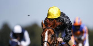 Horse Racing – Lonsdale Cup: Stradivarius Wins Lonsdale Cup