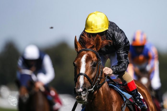 stradivarius londale cup Lonsdale Cup