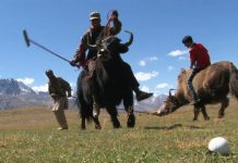 Yak Polo – Pakistan yak polo