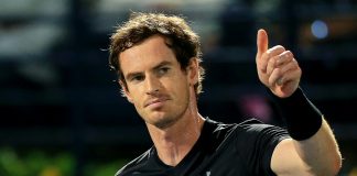 Tennis: Andy Murray Decides to End Comeback Season Early Andy Murray