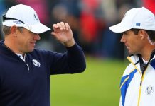 Golf – Ryder Cup: Westwood Backs Harrington For Captaincy Ryder Cup