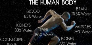 Allsportspk Health Tips: Body Water Key To Healthy Life