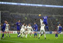 Premier League ’18-19 – Highlights: Junior Hoilett’s Stunner Buries Wolves Premier League