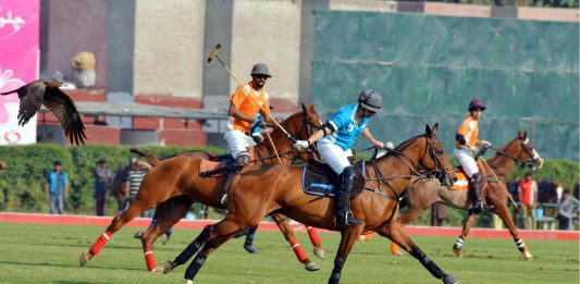 Polo in Pink