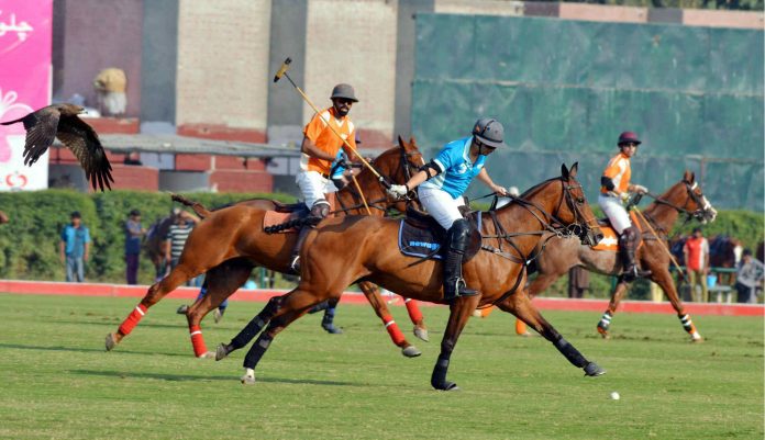 Day3-P1 Polo in Pink