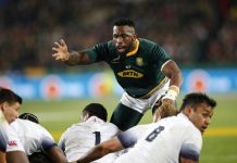 Rugby – England Vs South Africa: English Players Star In A Close Win england vs south africa